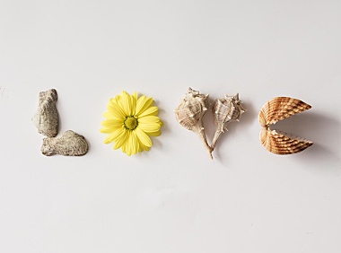 关于发布浙江省工程建设标准《工程建设工法编制标准》DBJ33/T1268-2022的公告